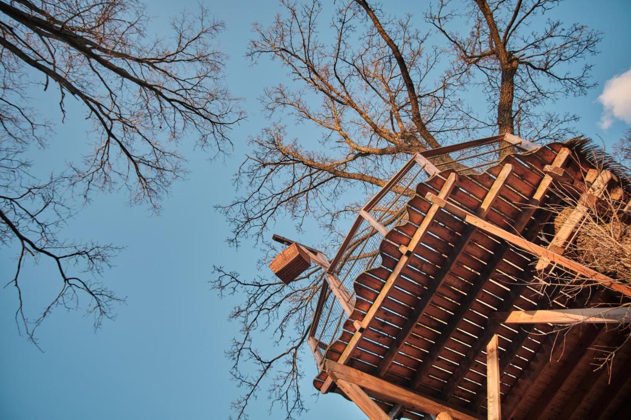 Treehouse Kremilek Villa Jesenice  Exterior photo